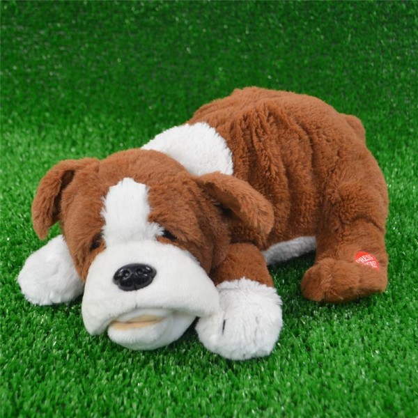 Schlafender Hund Bobo