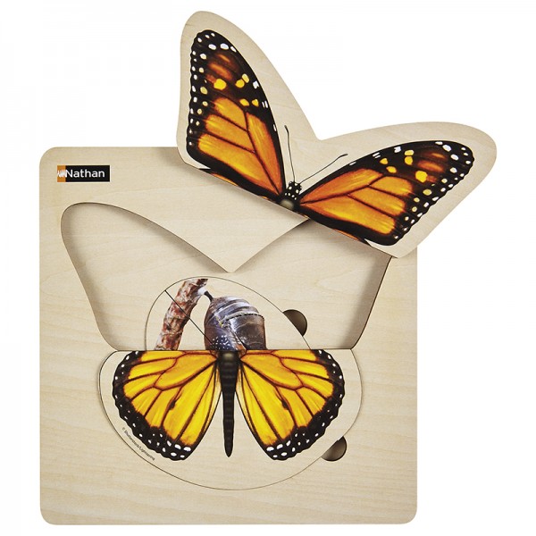 Schmetterling Lagenpuzzle