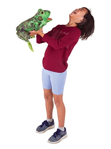 Metamorphose Frosch