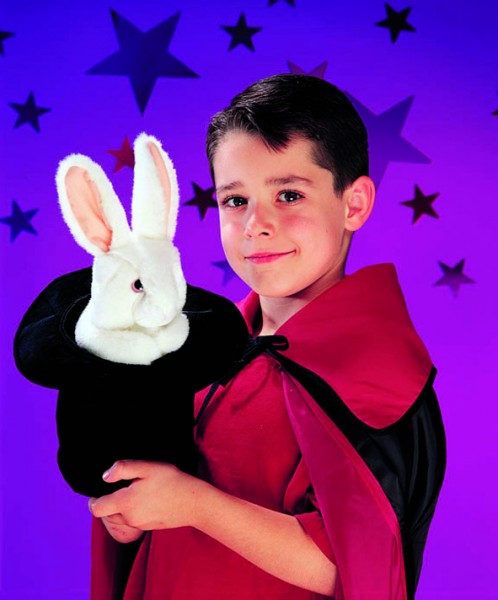 Großer Hase im Hut