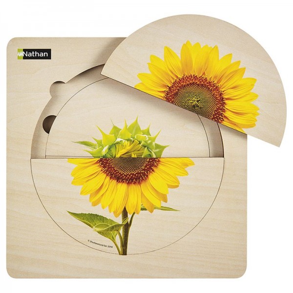 Sonnenblumen-Lagenpuzzle