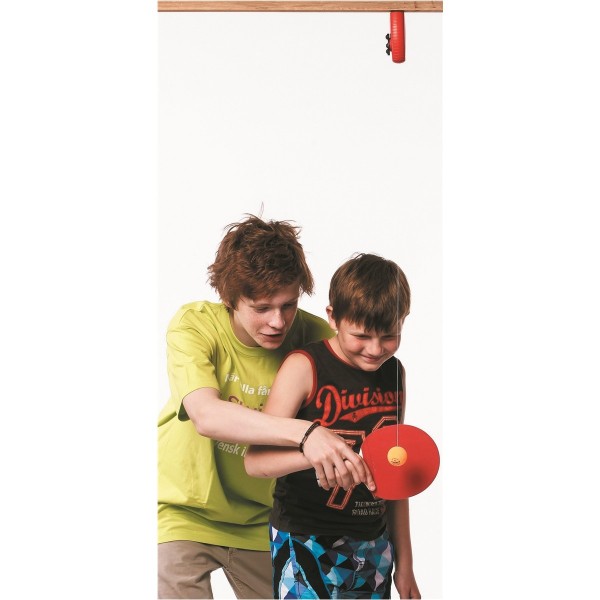 Swing Ping Pong