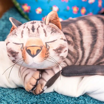 Große vibrierende Therapiekatze Samsa