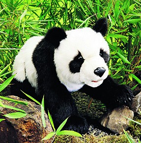 Kleiner Panda